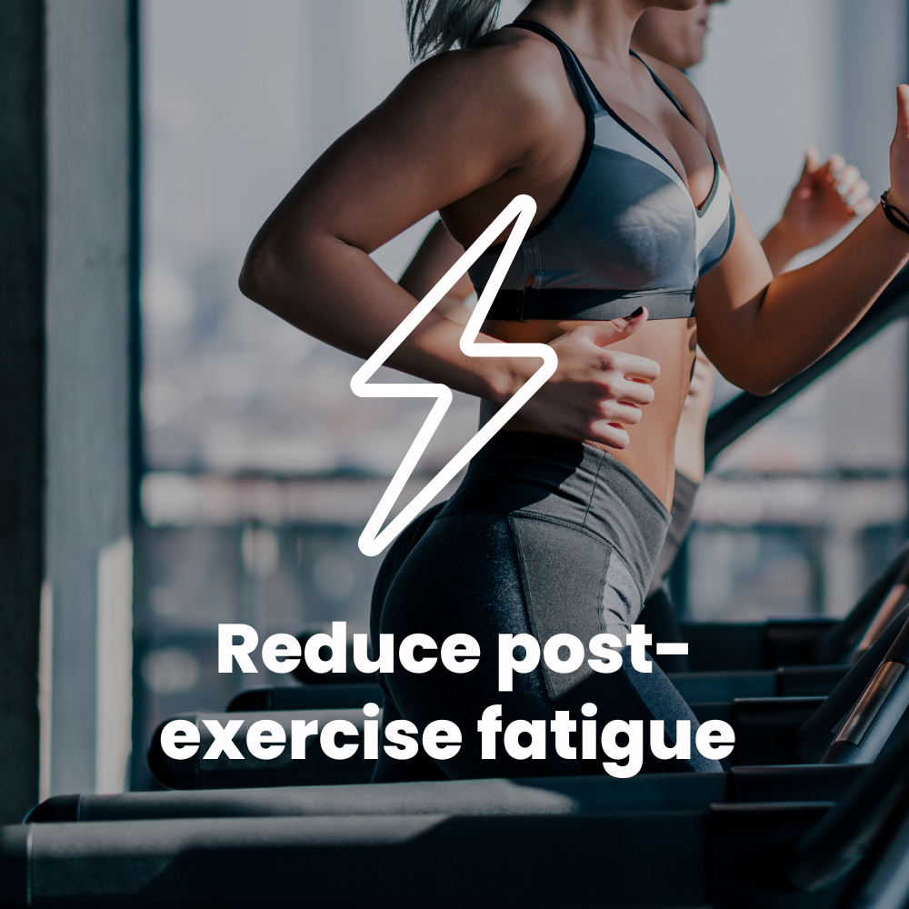 iHeart Creatine / Flavored