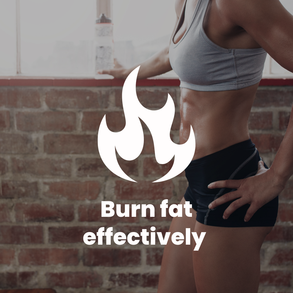 
                  
                    Lean Stack - Save 30%
                  
                